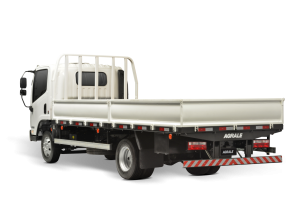 CAMINHÃO AGRALE A8700_4